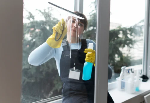 Nettoyage de vitres intérieures et extérieures à Tresnay